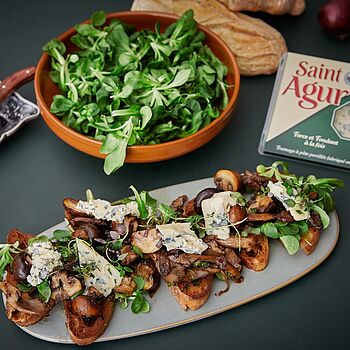Geröstetes Bruschetta Brot belegt mit gebratenen Pilzen, Saint Agur Blauschimmelkäse und Salat